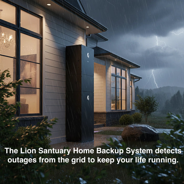 Lion Energy - Lion Sanctuary 2 - King of Generators
