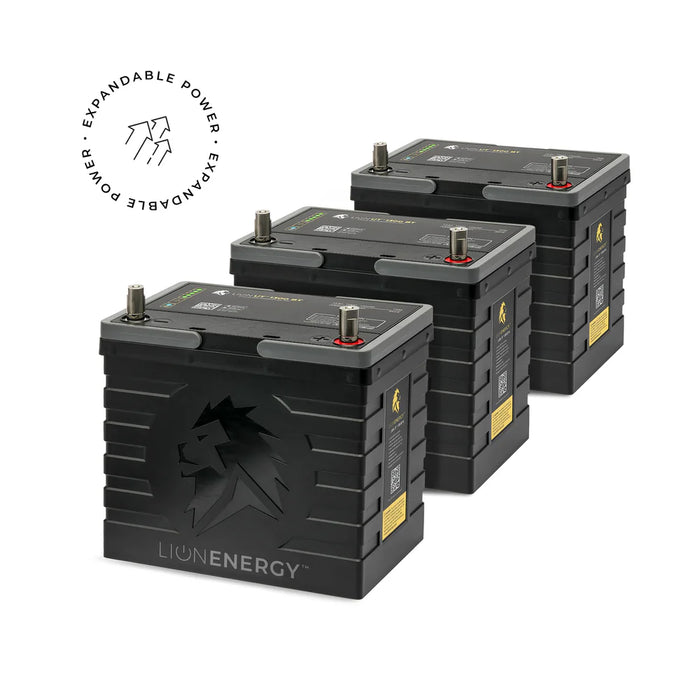 Lion Energy - Lion UT-1300 BT (x48 units) - King of Generators