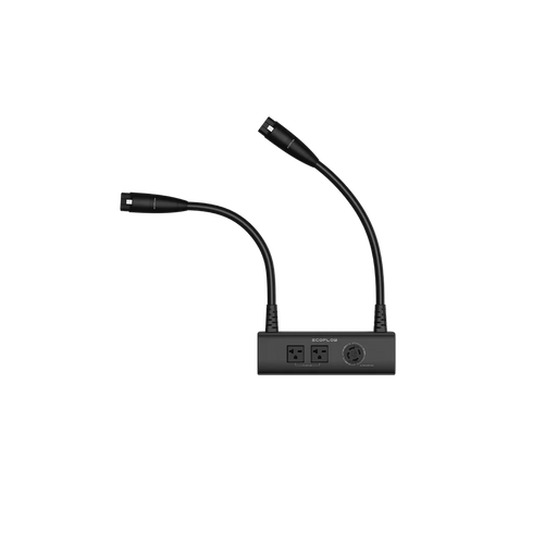 EcoFlow Double Voltage Hub - Power Input/Output (DELTA Pro) - King of Generators