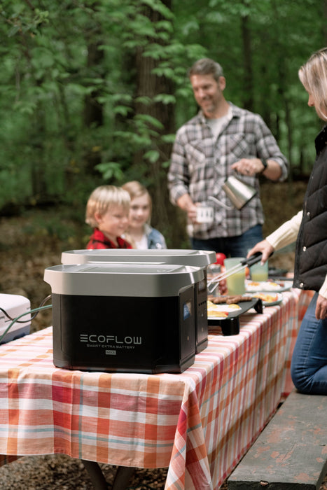 Ecoflow DELTA 2 Max Smart Extra Battery - King of Generators