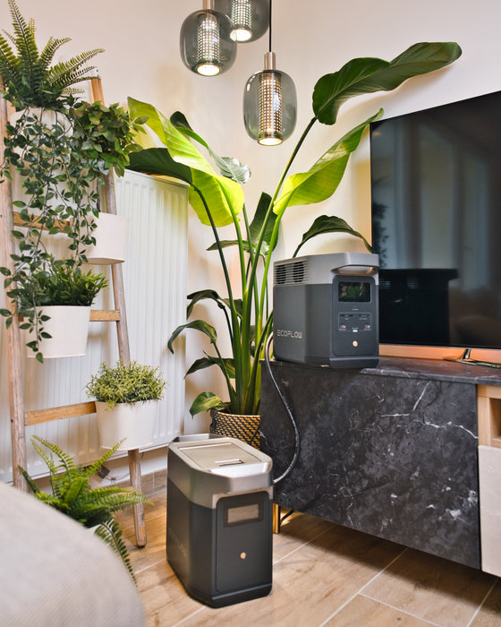 EcoFlow DELTA 2 Smart Extra Battery - King of Generators