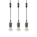 lion energy - 3 LED Light Bulb String - King of Generators