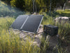 lion energy - Lion Summit - King of Generators