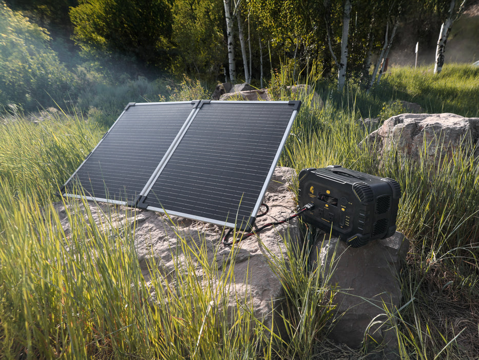 lion energy - Lion Summit - King of Generators