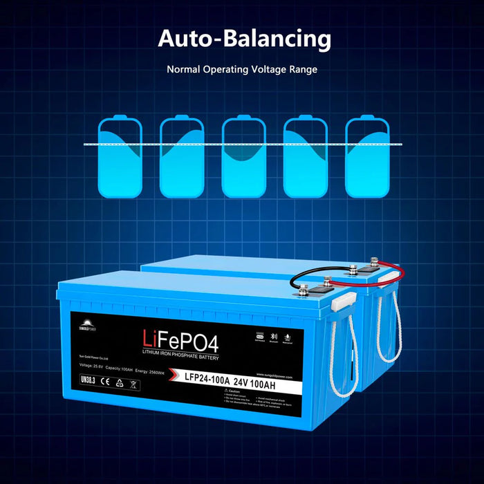 SUNGOLDPOWER 24V 100AH LiFePO4 Battery - King of Generators